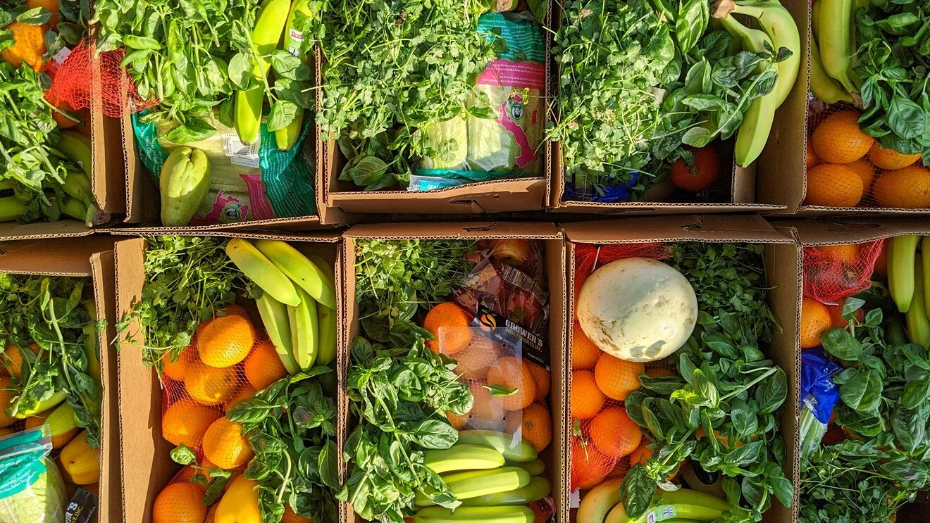 Grassroots Organizations Come Together To Provide Food to Dallas Residents - Dallas Observer