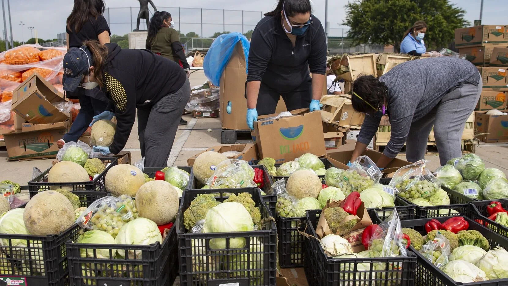 Dallas Food Rescue Project Has Tripled Amount of Produce Giveaways During Pandemic - Dallas Morning News