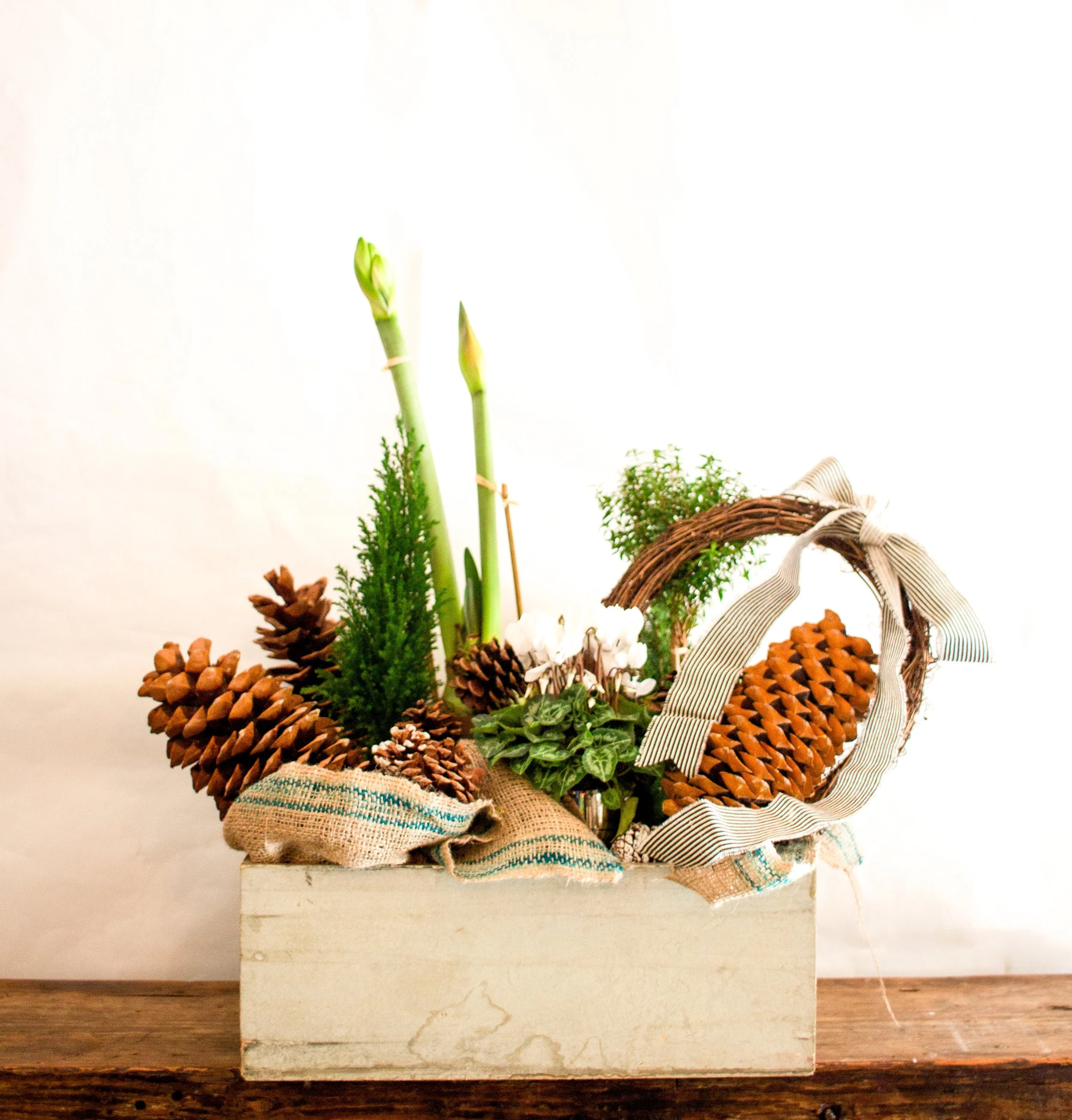 Holiday in a Box White.jpg