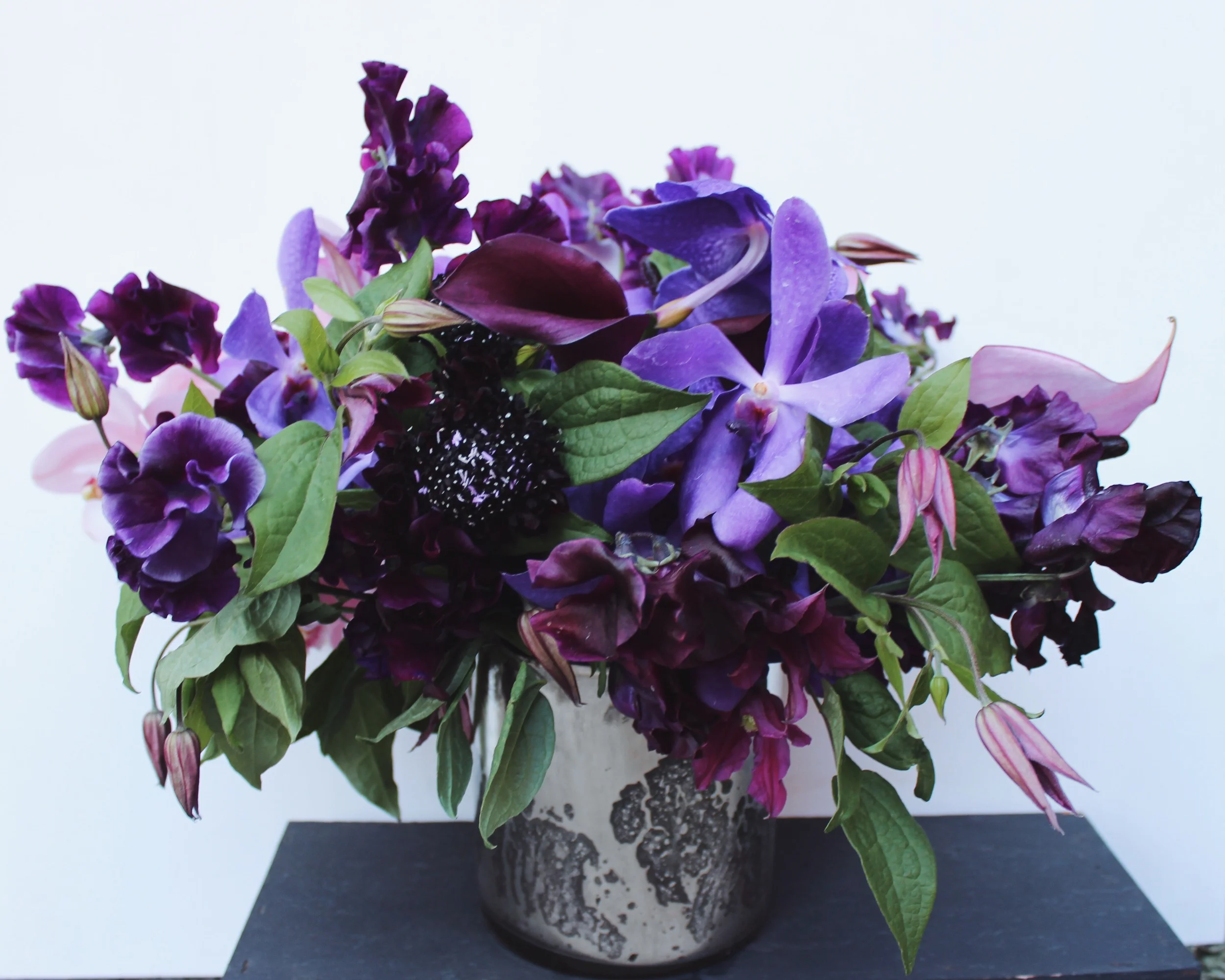 not red not roses.jpg