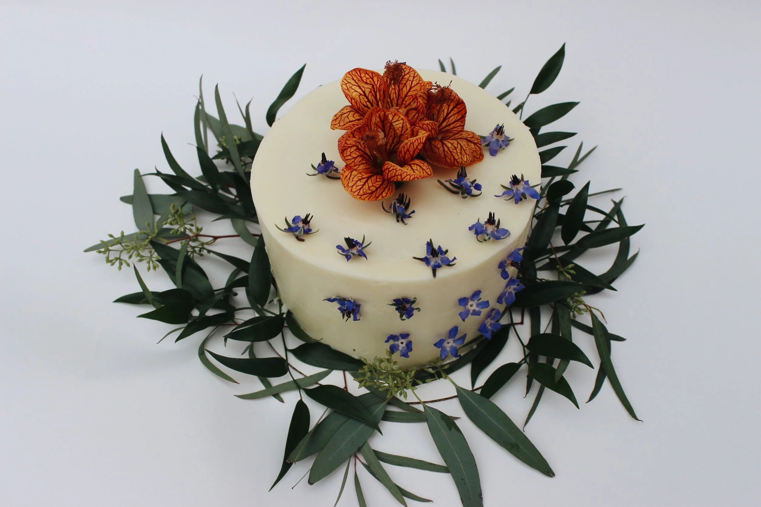 flower girl edible flowers - borage blossom 4