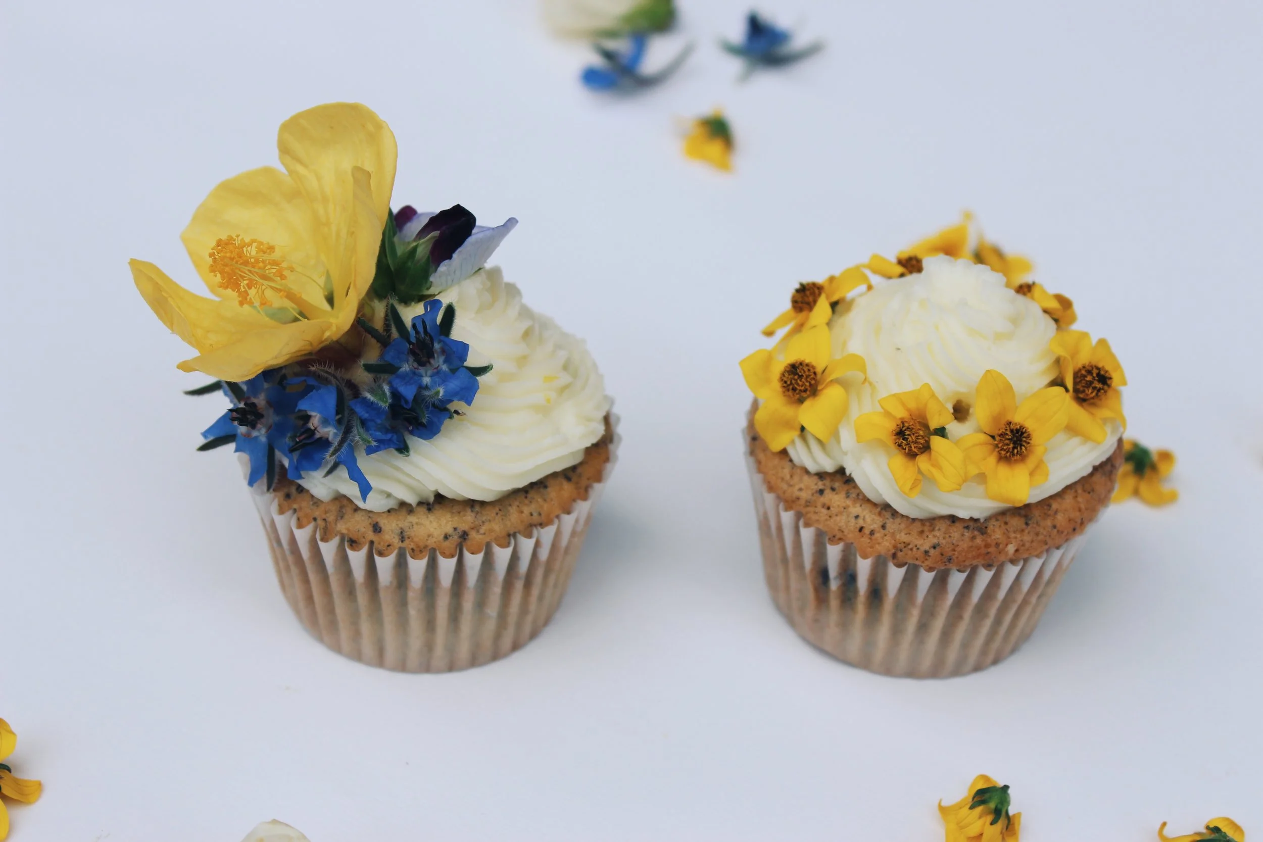 flower girl edible flowers - borage blossom 2