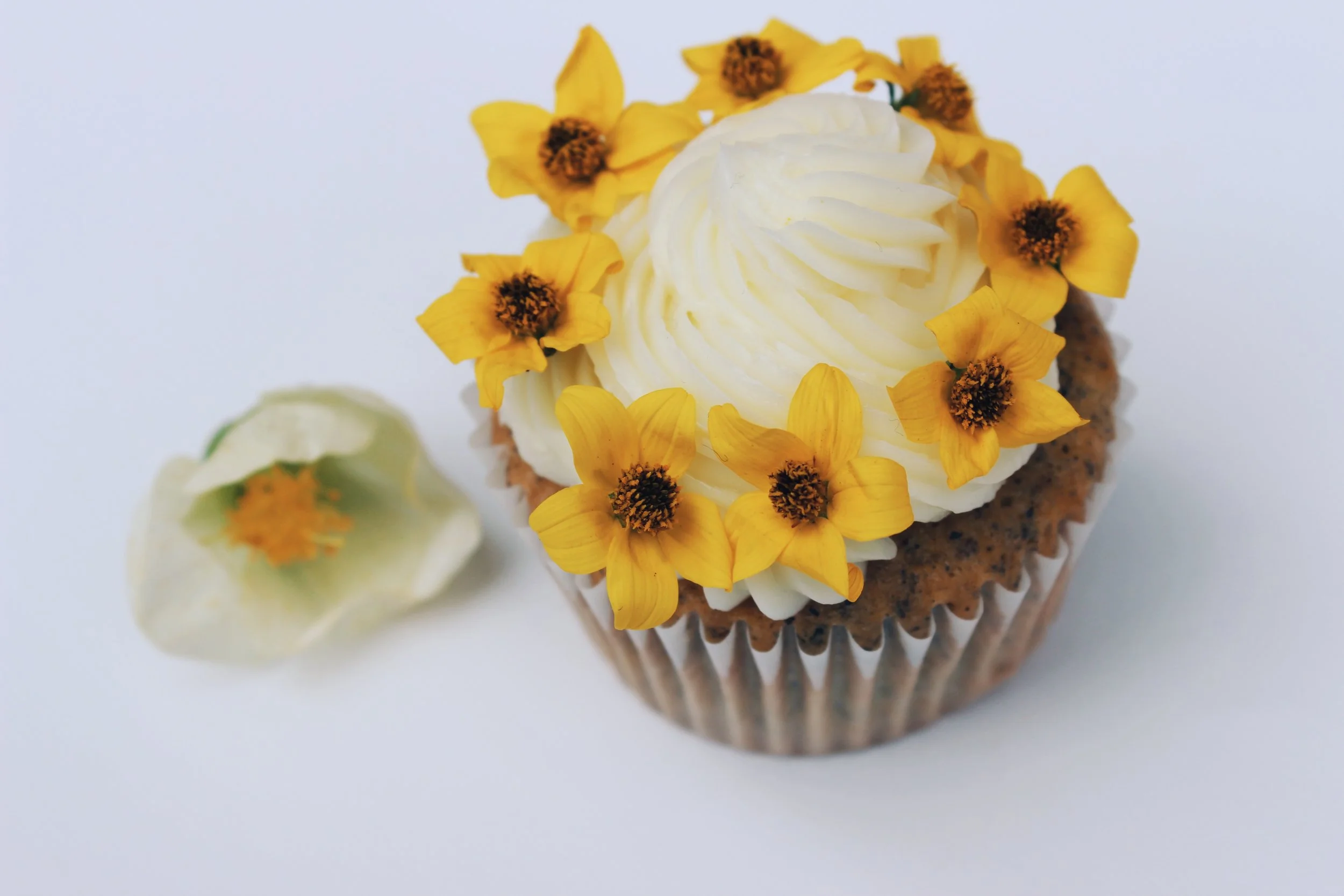 flower girl edible flowers - micro sun daisy 2