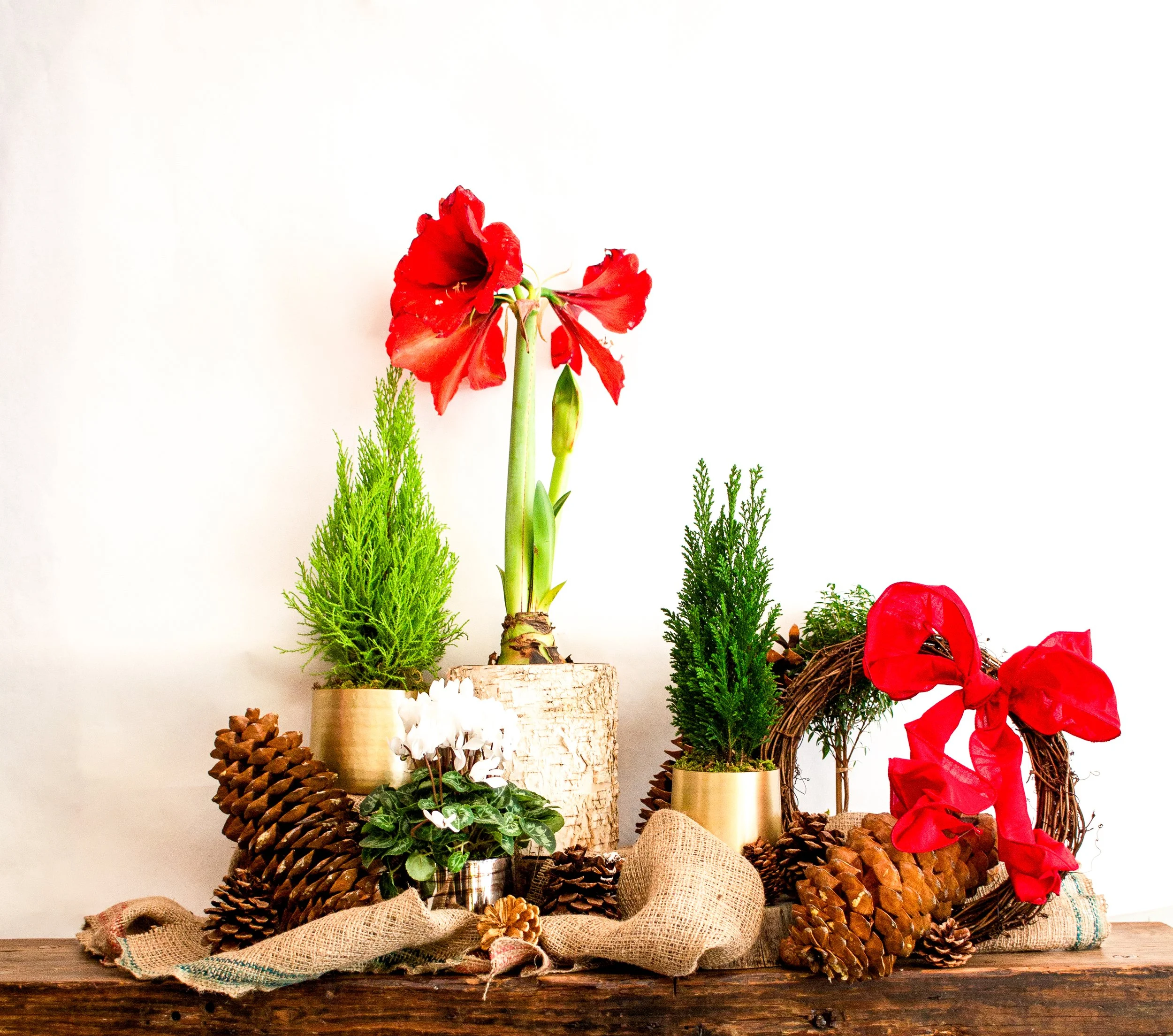 Holiday in a box - mix.jpg