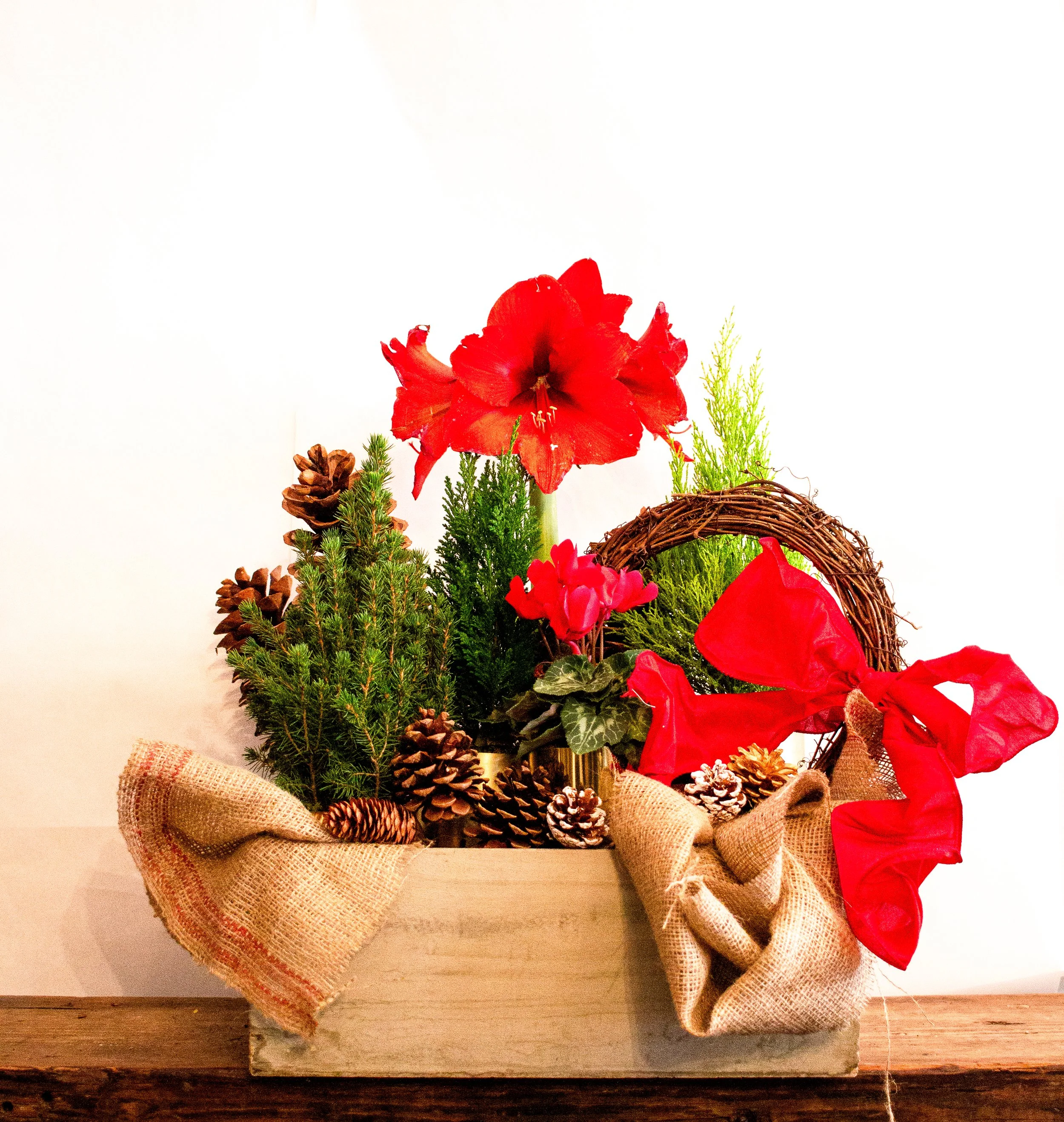 Holiday in a box - Red.jpg