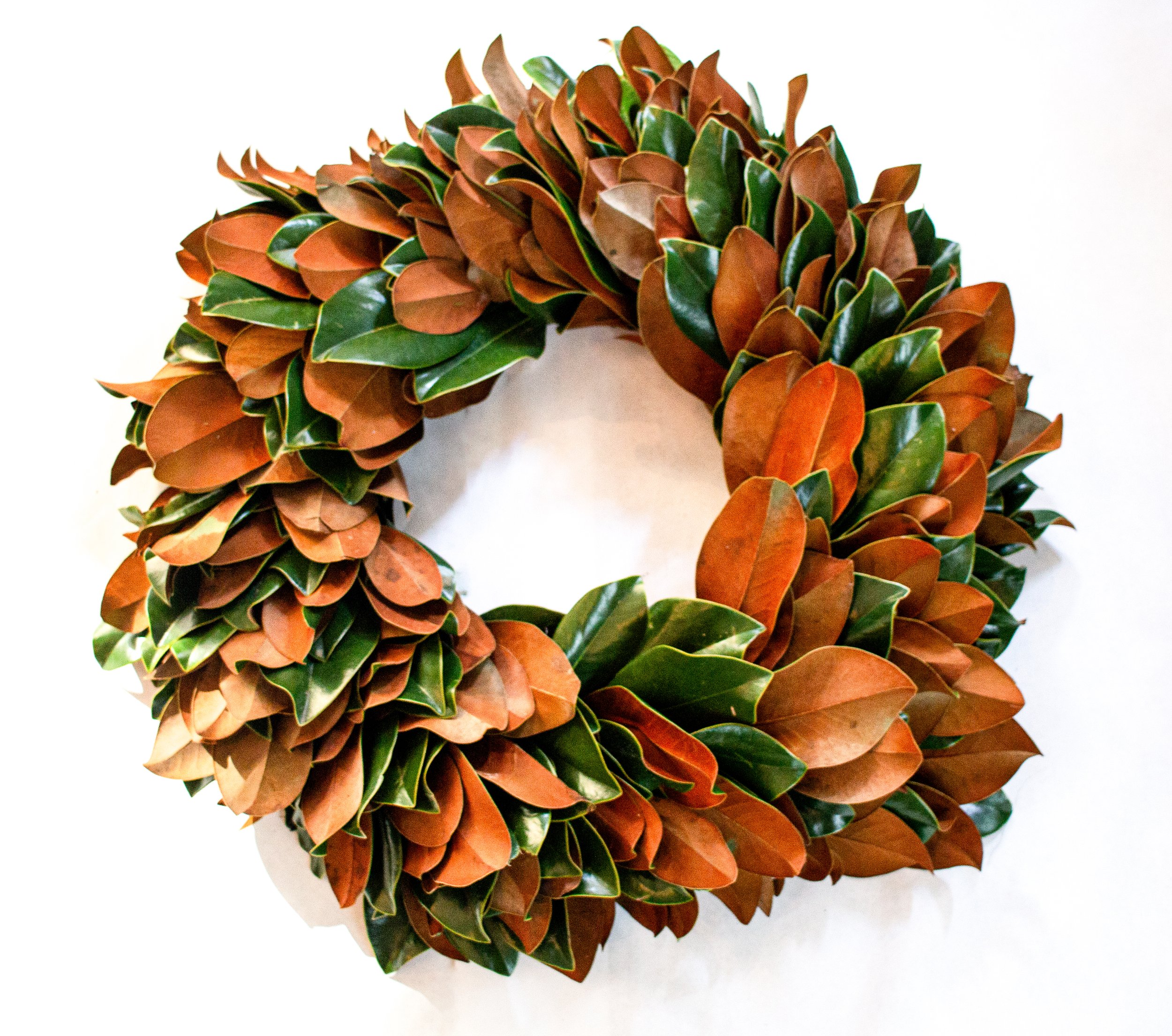 Magnolia - Plain.jpg