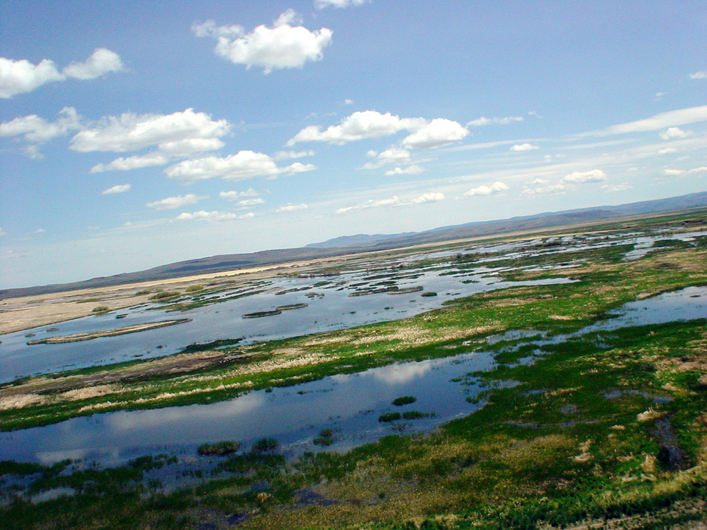 The Malheur National Widlife Refuge. Photo: John Bromley