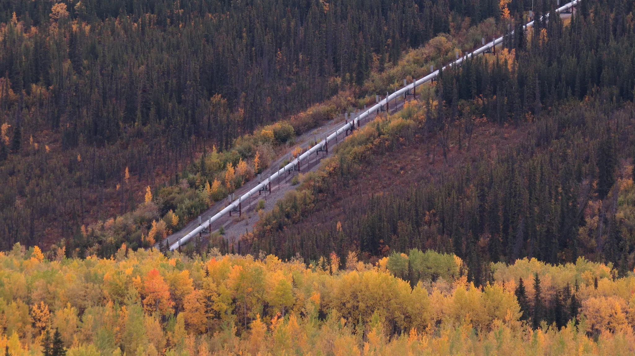 An oil pipeline near the Copper River in Alaska. Photo: Luke Jones.
