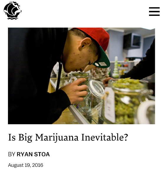 Screenshot taken from The New Republic.