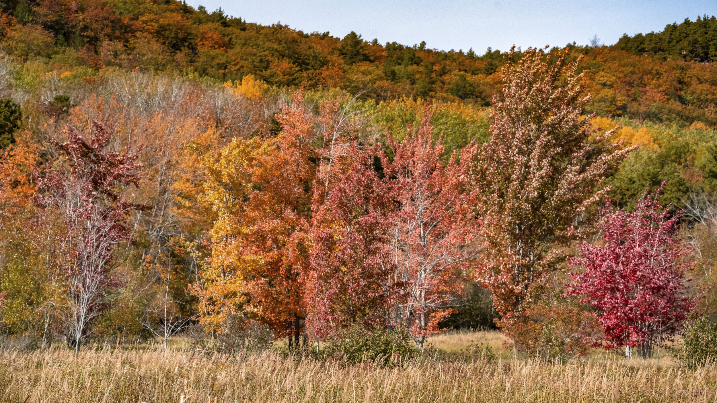 Otoño