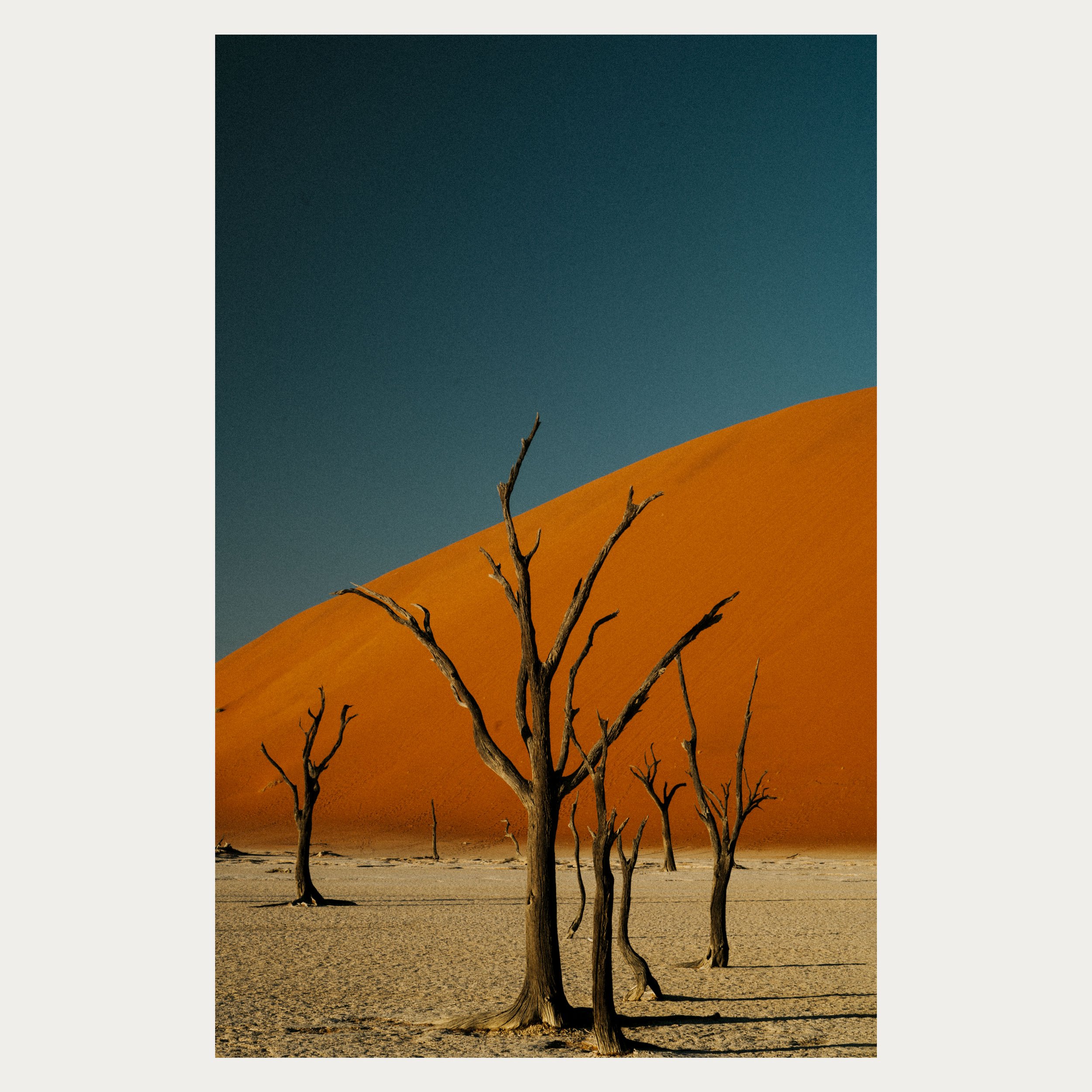 Deadvlei WEB.jpg