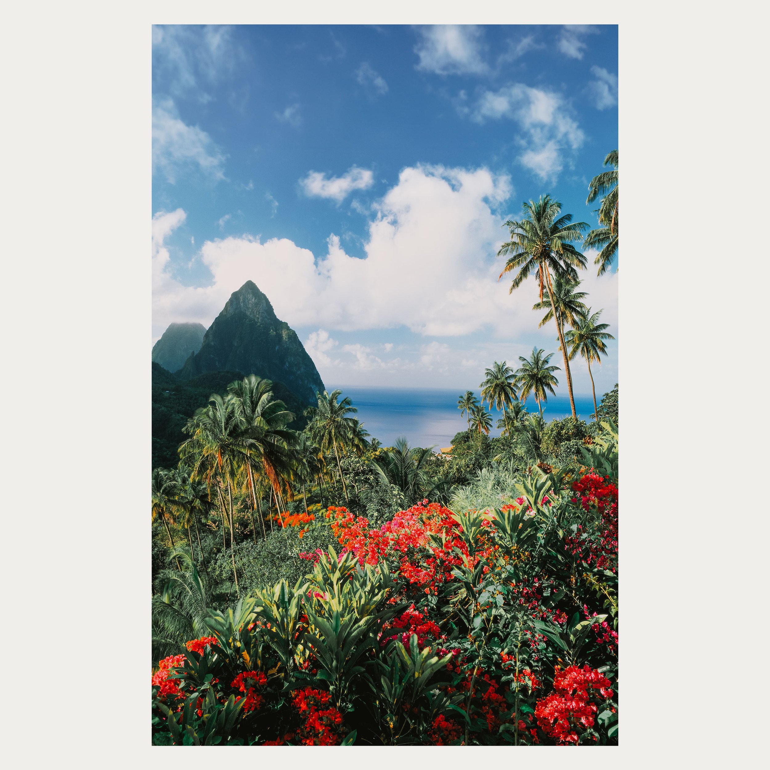 Paradise-WEB-(2).jpg