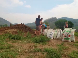 Collecting animal poo fertilizer