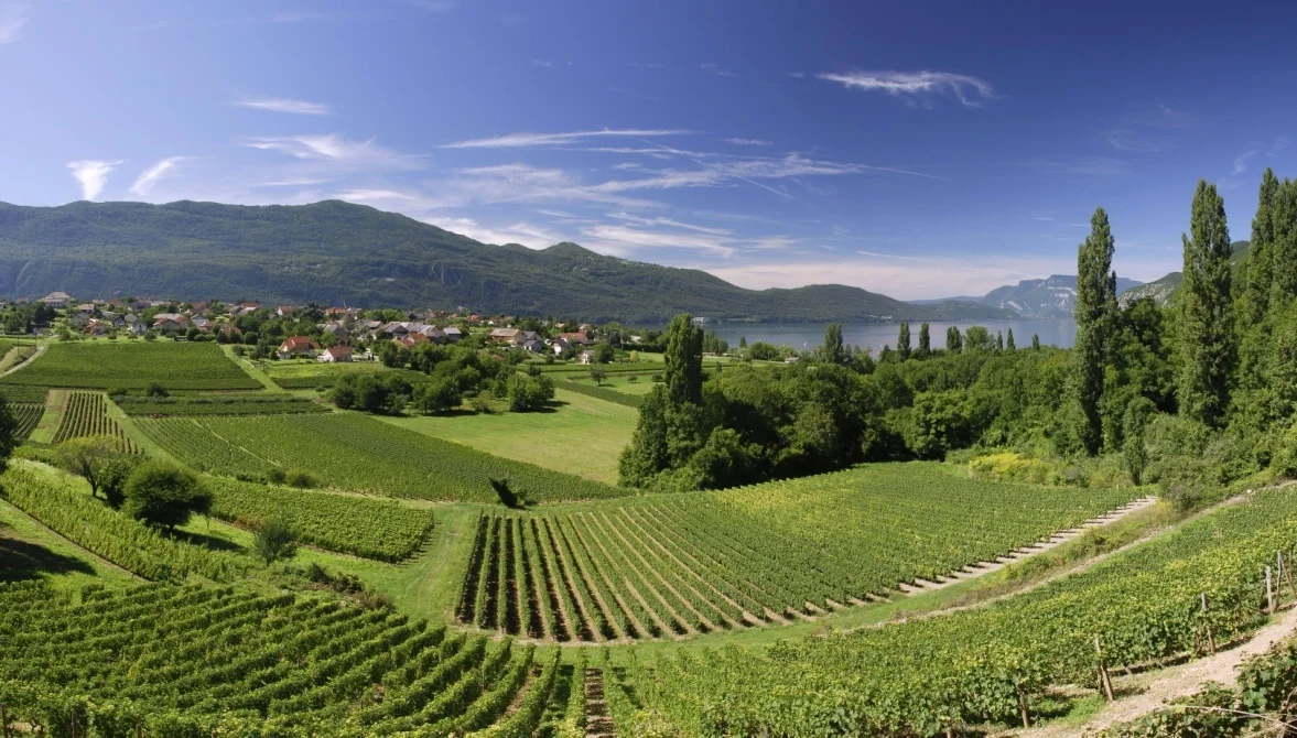 Tim Carson - A Taste of France