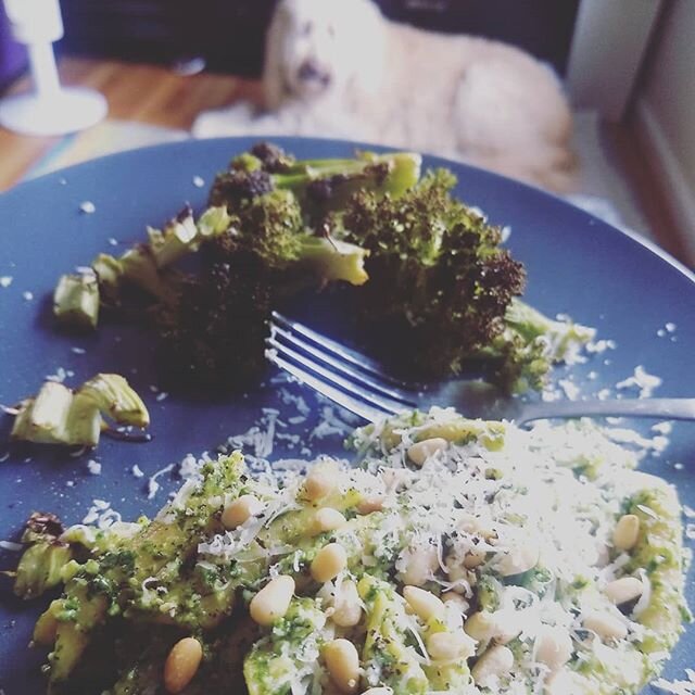 Another dinner from the garden: (freaking amazing omg I can never eat another one from the store) broccoli and pasta with radish and carrot greens pesto. With doodle for added judgemental floof.