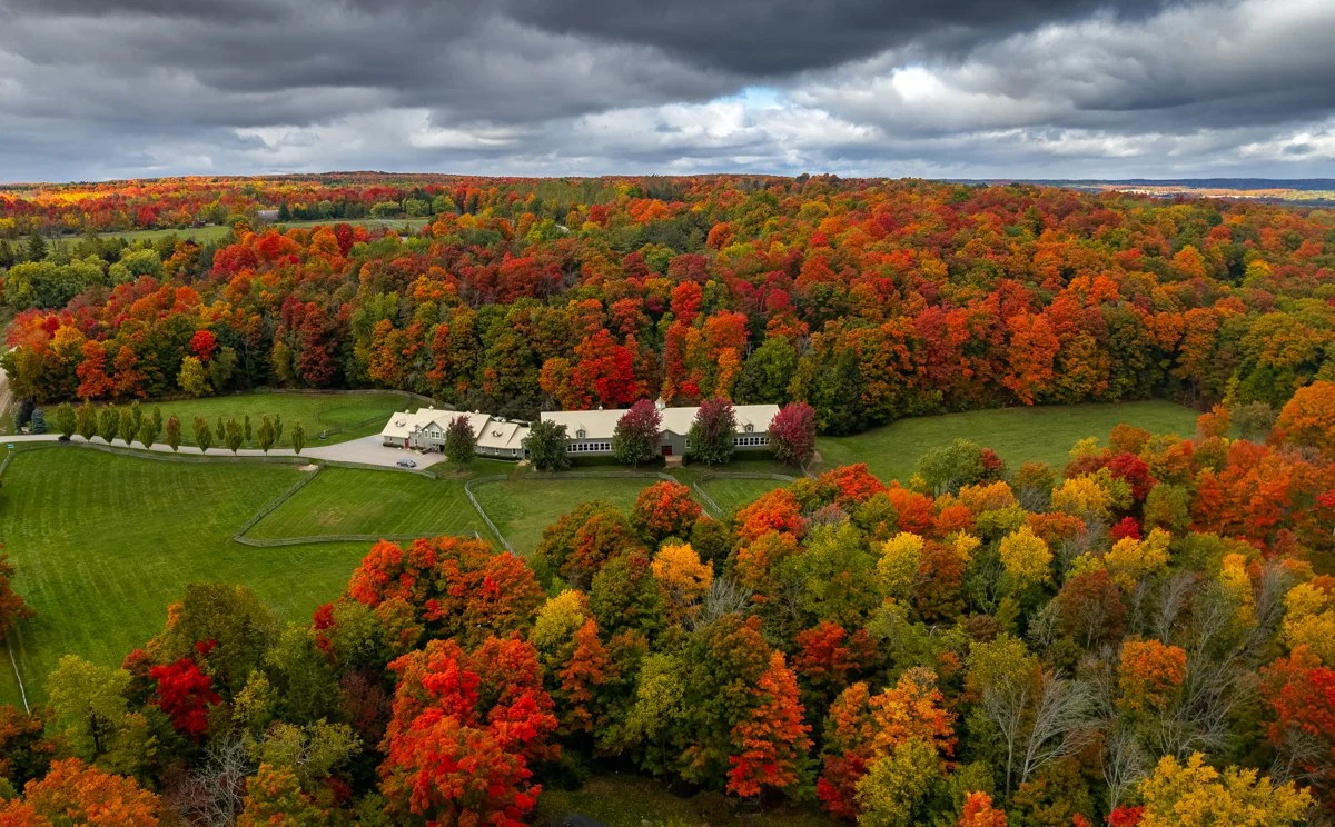 Autumn 2022_web_1-3.jpg