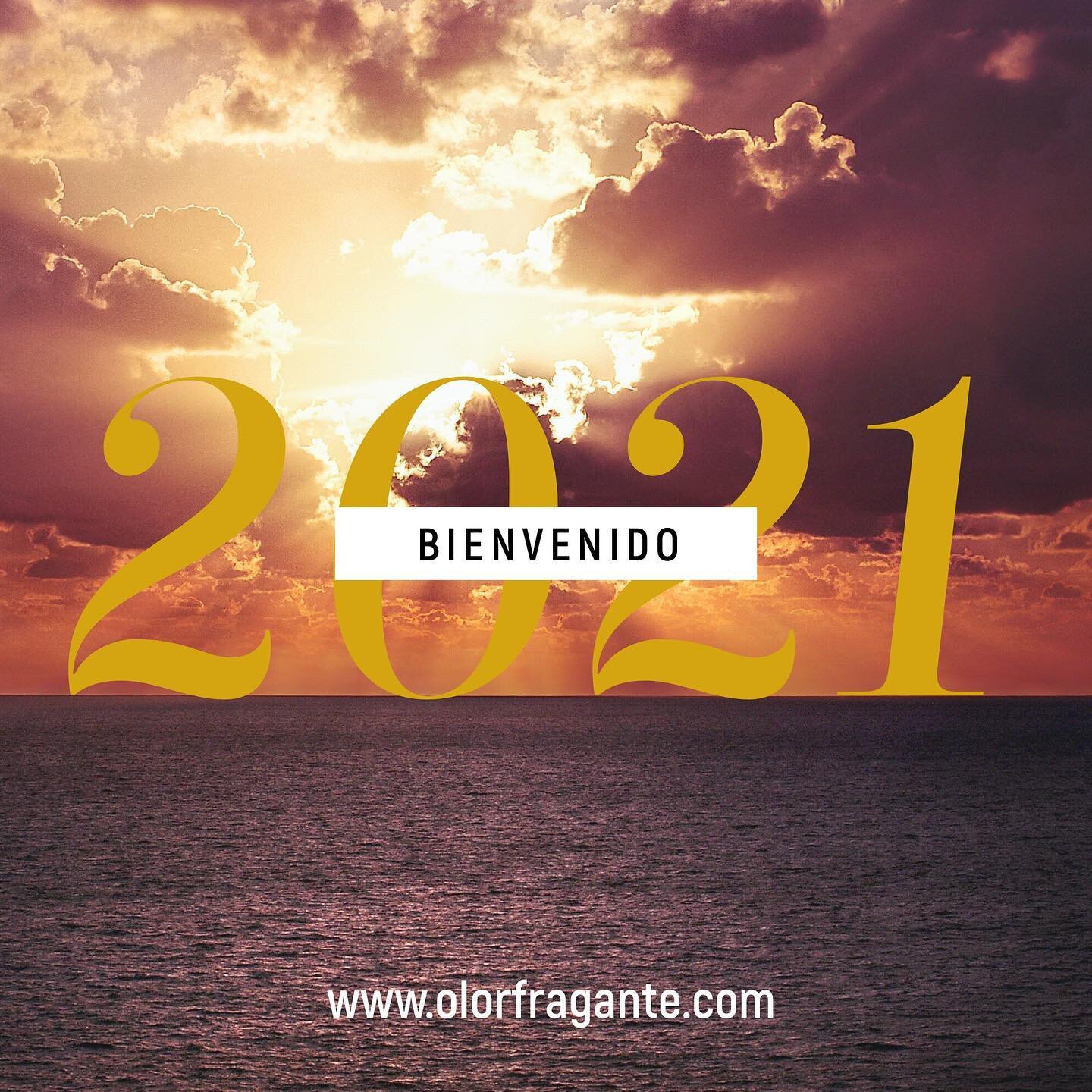 El amor del Se&ntilde;or no tiene fin, ni se han agotado sus bondades. Cada ma&ntilde;ana se renuevan; &iexcl;qu&eacute; grande es su fidelidad! Y me digo: &iexcl;El Se&ntilde;or lo es todo para m&iacute;; por eso en &eacute;l conf&iacute;o!
Lamentac