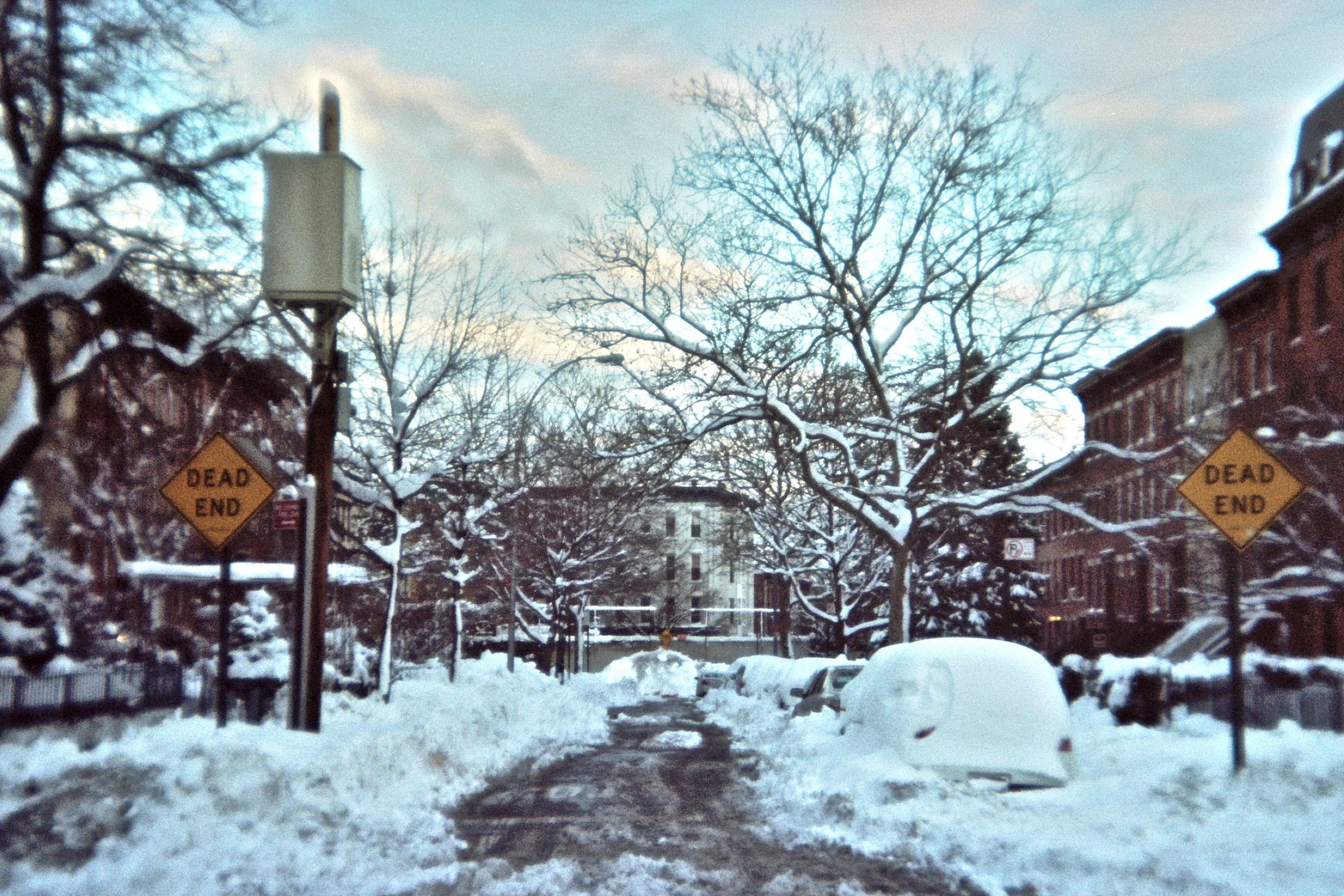 Post Blizzard Brooklyn
