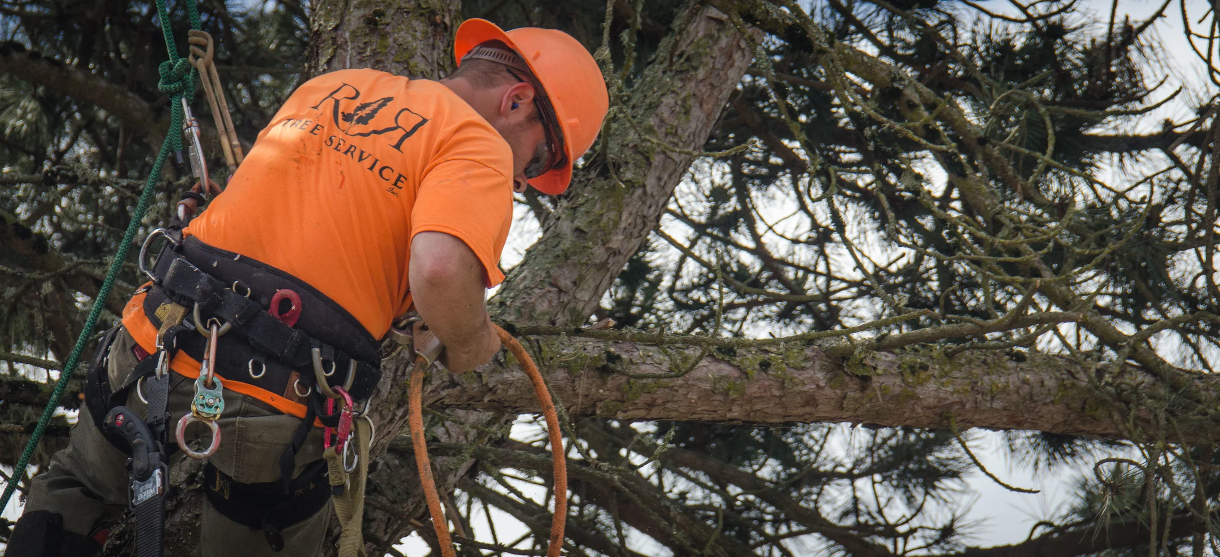 _DSC8553.jpg