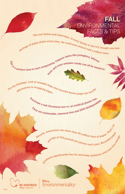 FALL_TREES_POSTER_11x17_FINAL-01.jpg