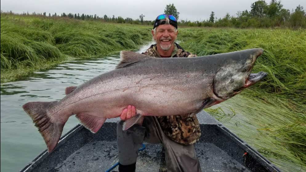 salmon-alaska.jpg