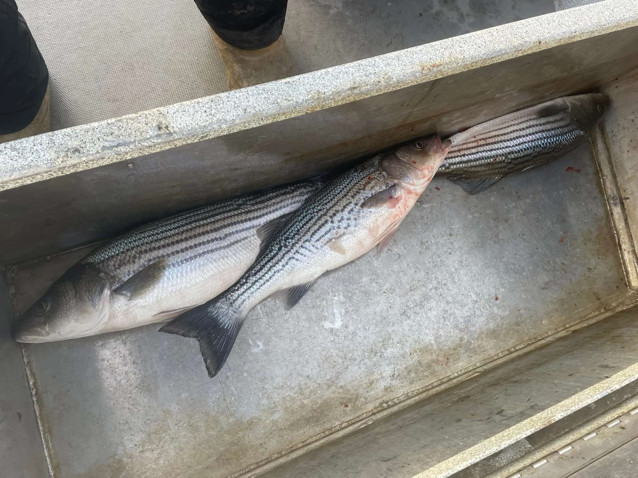 Winter Time Fishing in January