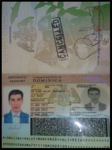 Photo showing cancelled passport