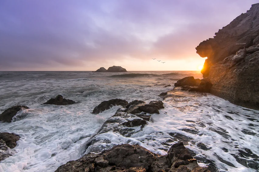 WAVES-3.jpg
