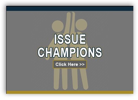 Issue Champions