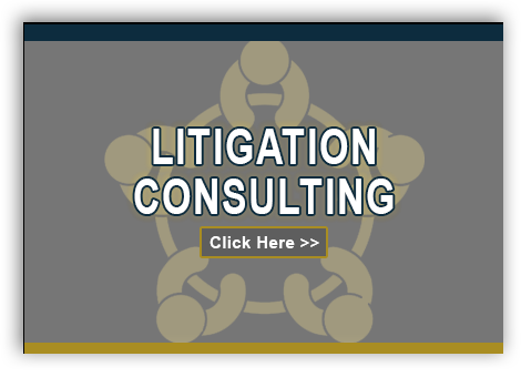 Litigation Consulting