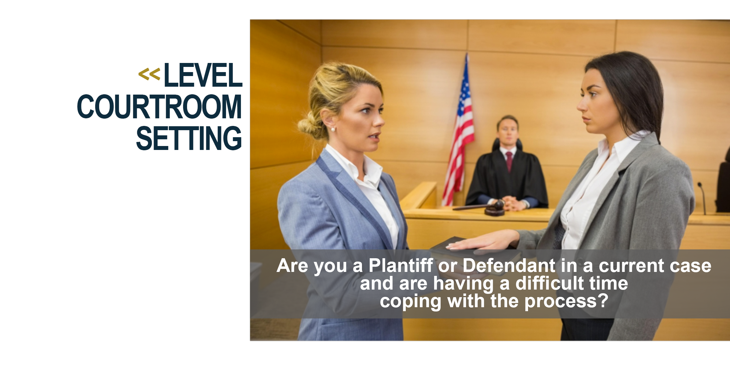 Are you a plaintiff or a defendant in a current case and are having a difficult time coping with the process?