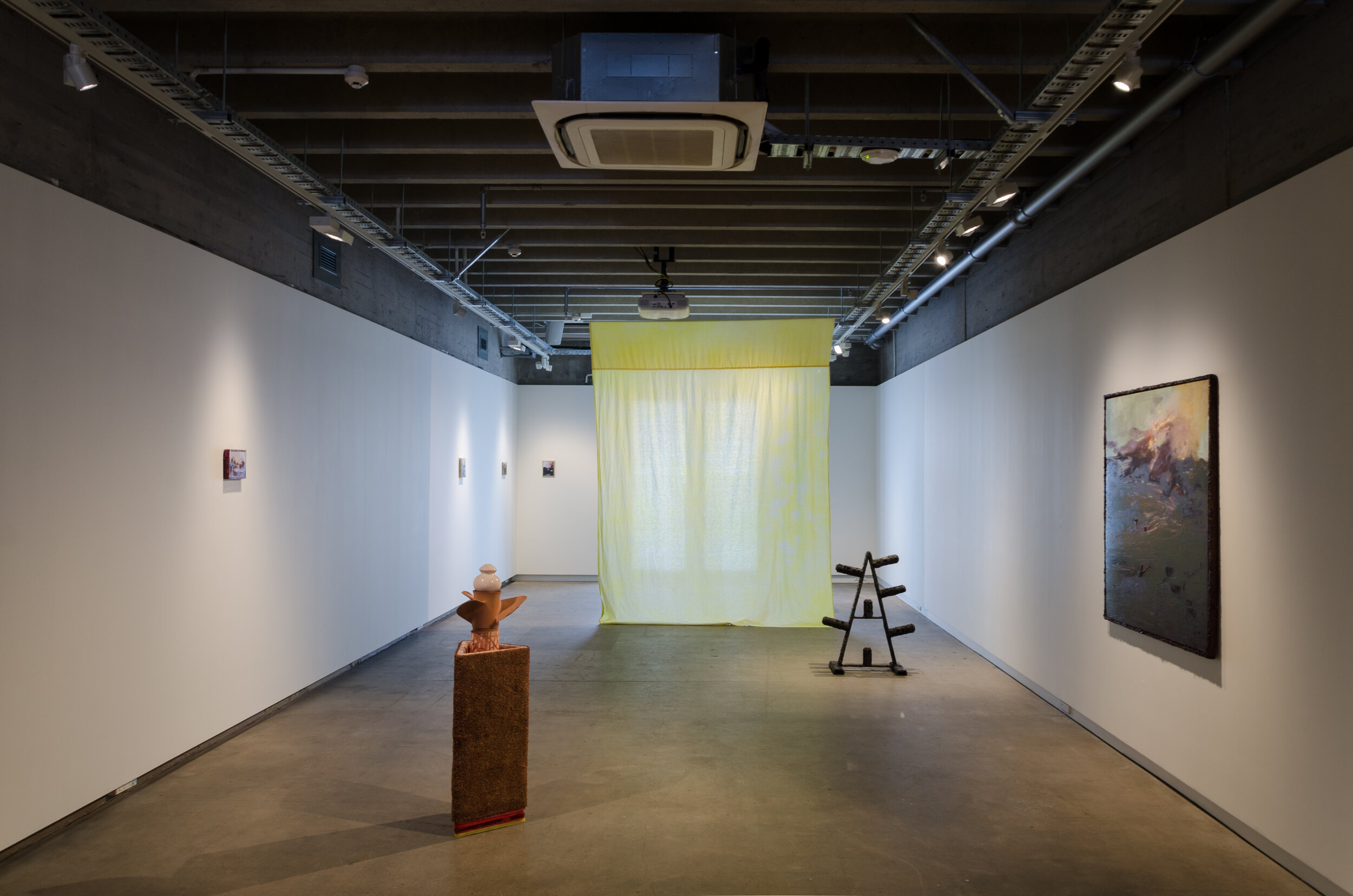   Visitor,  installation shot at CoCA Toi Moroki, 2019    Photo credit: Mitchell Bright 