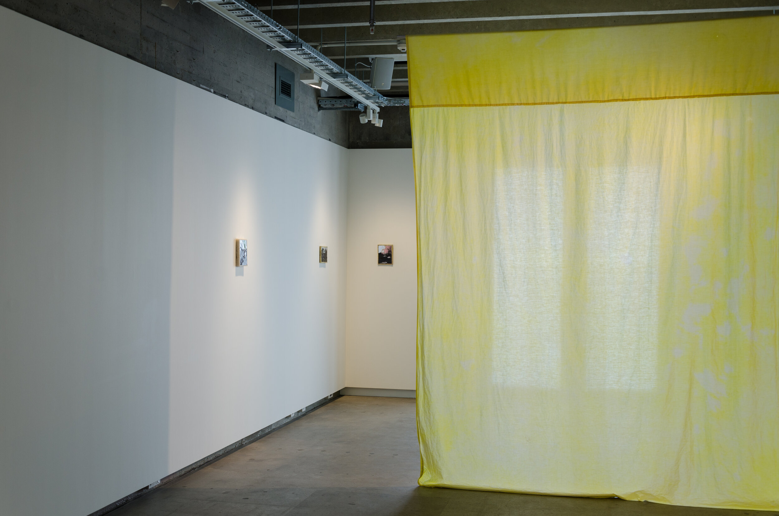  Install shot of  Visitor  at CoCA Toi Moroki, 2019  Image credit: Mitchell Bright 