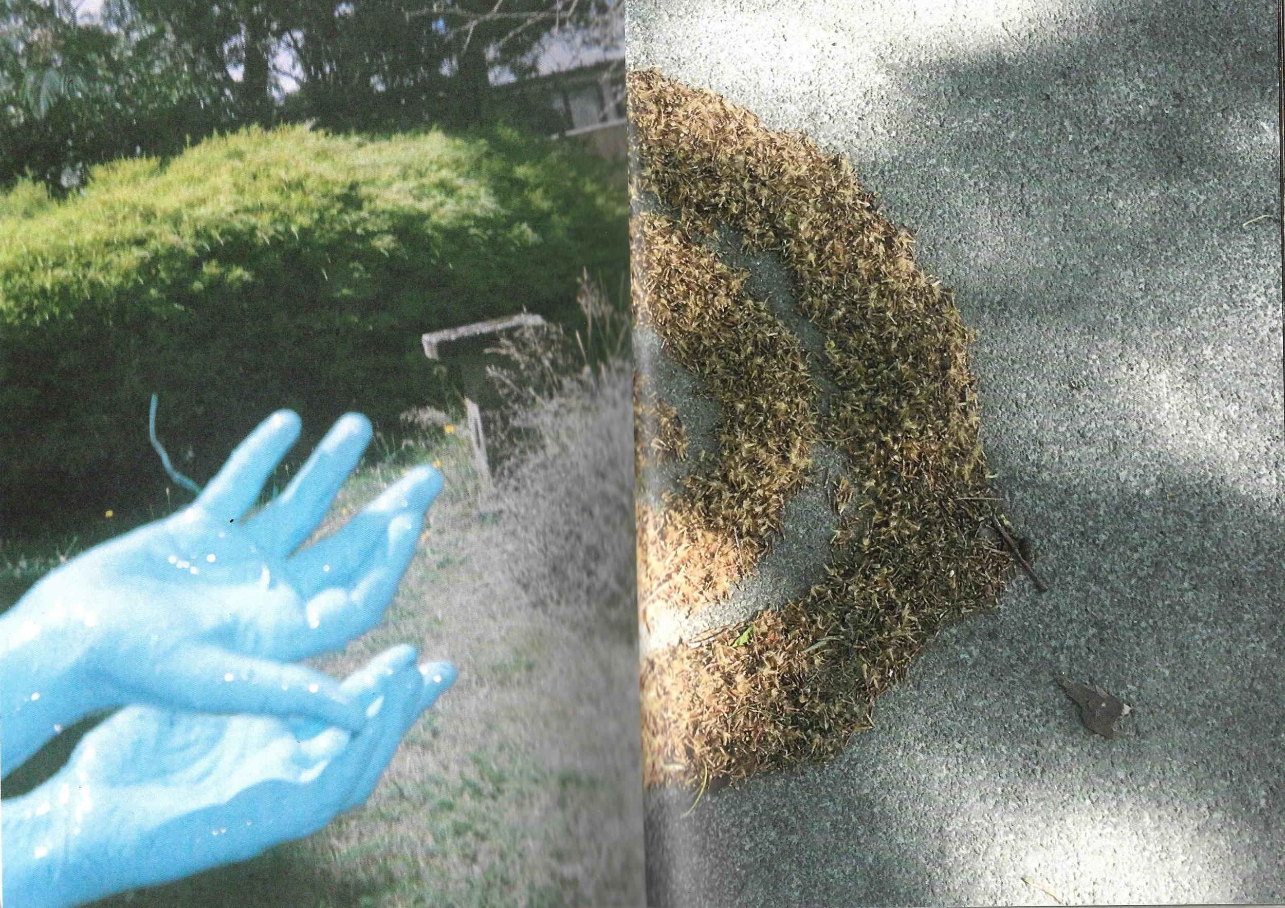 Excerpts of SILO book, designed by Lee Richardson, words by Jane Wallace, 2023, contact Jonathan Smart Gallery for a copy
