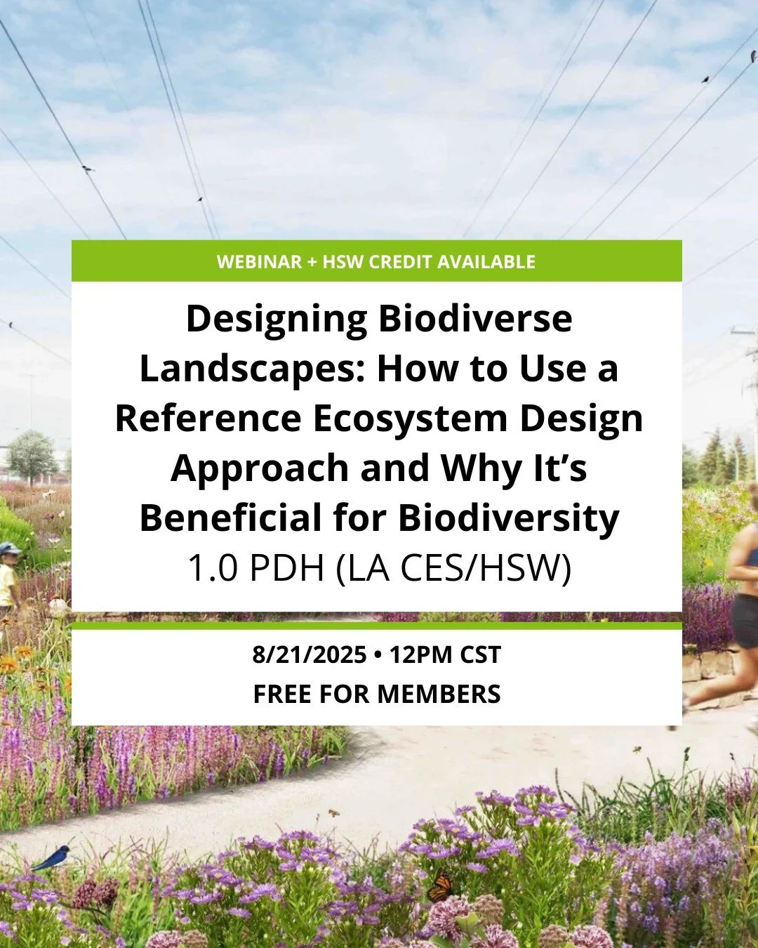 🌿 Free ASLA Webinar for Members 🌿

Designing Biodiverse Landscapes
📅 Aug 21 | 12 PM CST
Learn how to use local reference ecosystems to create landscapes that boost biodiversity. Hear from leading ecologists &amp; designers and explore real-world c