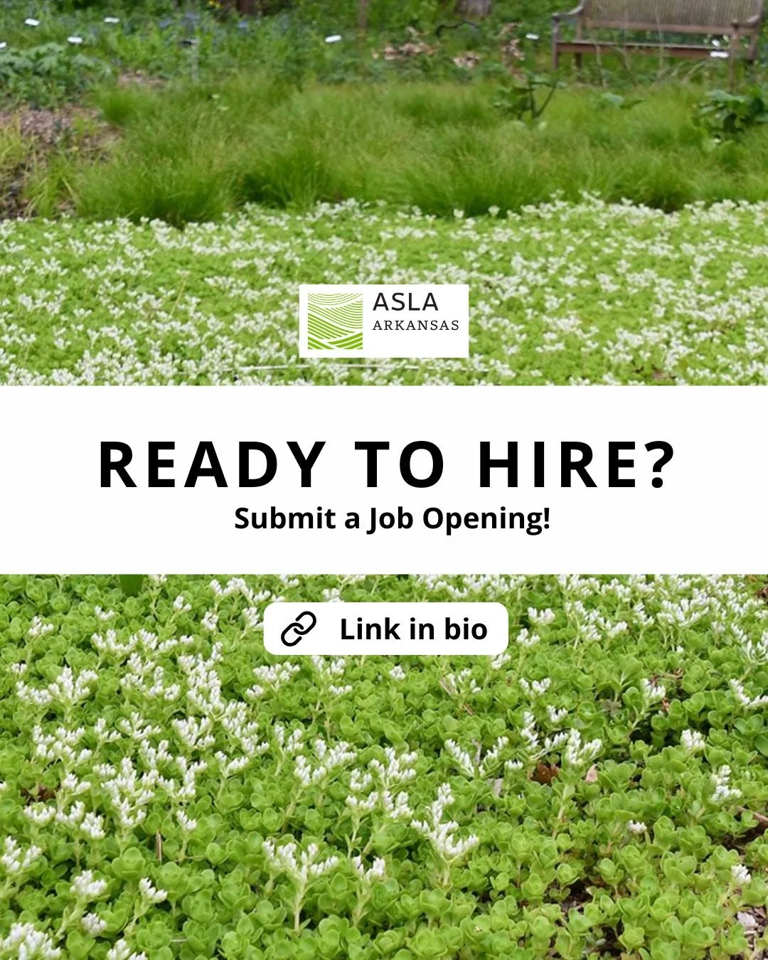 🌿 Ready to grow your team? Submit your job openings to the ASLA Arkansas job board and connect with top landscape architecture talent.

🔗 Visit the link in our bio!