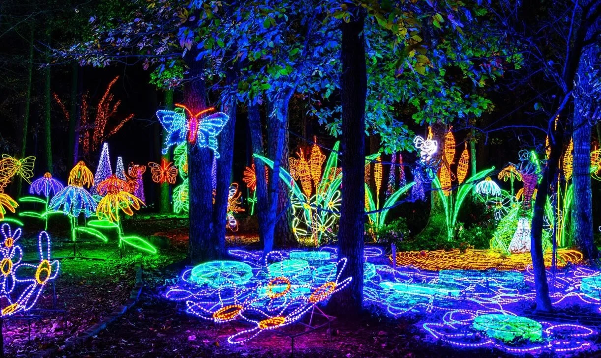 Experience holiday magic at @garvangardens! 

Did you know this Arkansas gem was gifted to the University of Arkansas landscape architecture department by Verna Cook Garvan? Today it&rsquo;s a living classroom for landscape architecture, blending woo