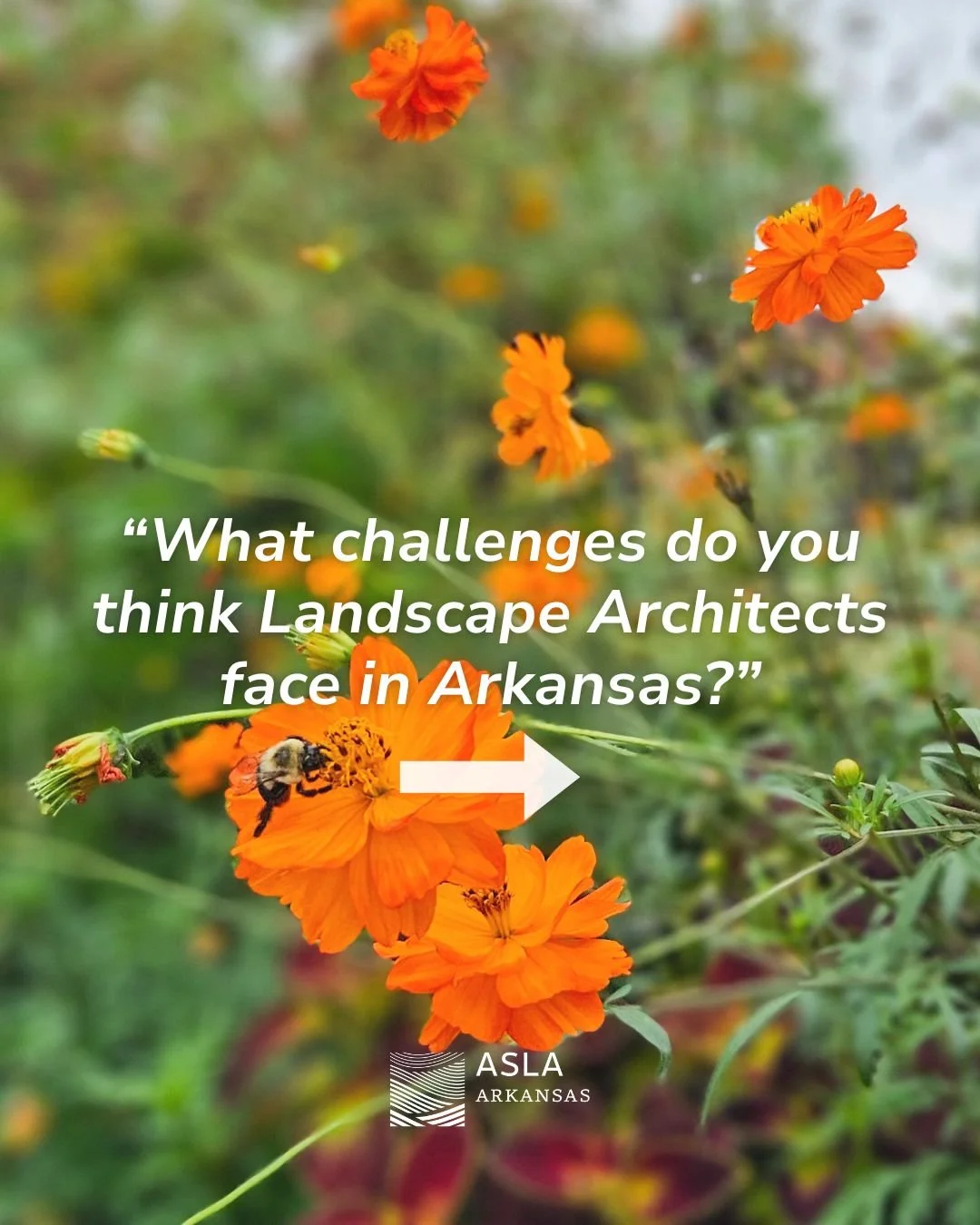 We asked landscape architects across Arkansas to weigh in on the biggest challenges in the profession.

💬 Drop your perspective below or message us to be part of a future feature.