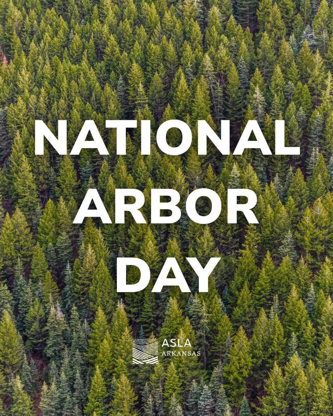Happy National Arbor Day from AR ASLA 🌲

Arbor Day is a chance to recognize trees as more than background, they are fundamental to how we design and experience the landscape. They shape space, provide shade, manage water, and support life at every s