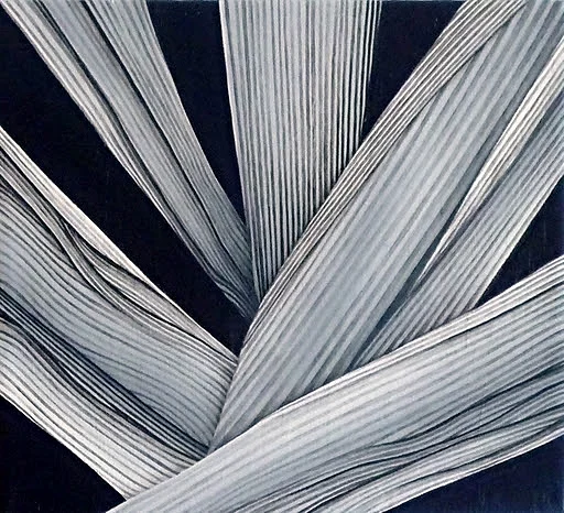 Fertility of the Soil No. 5