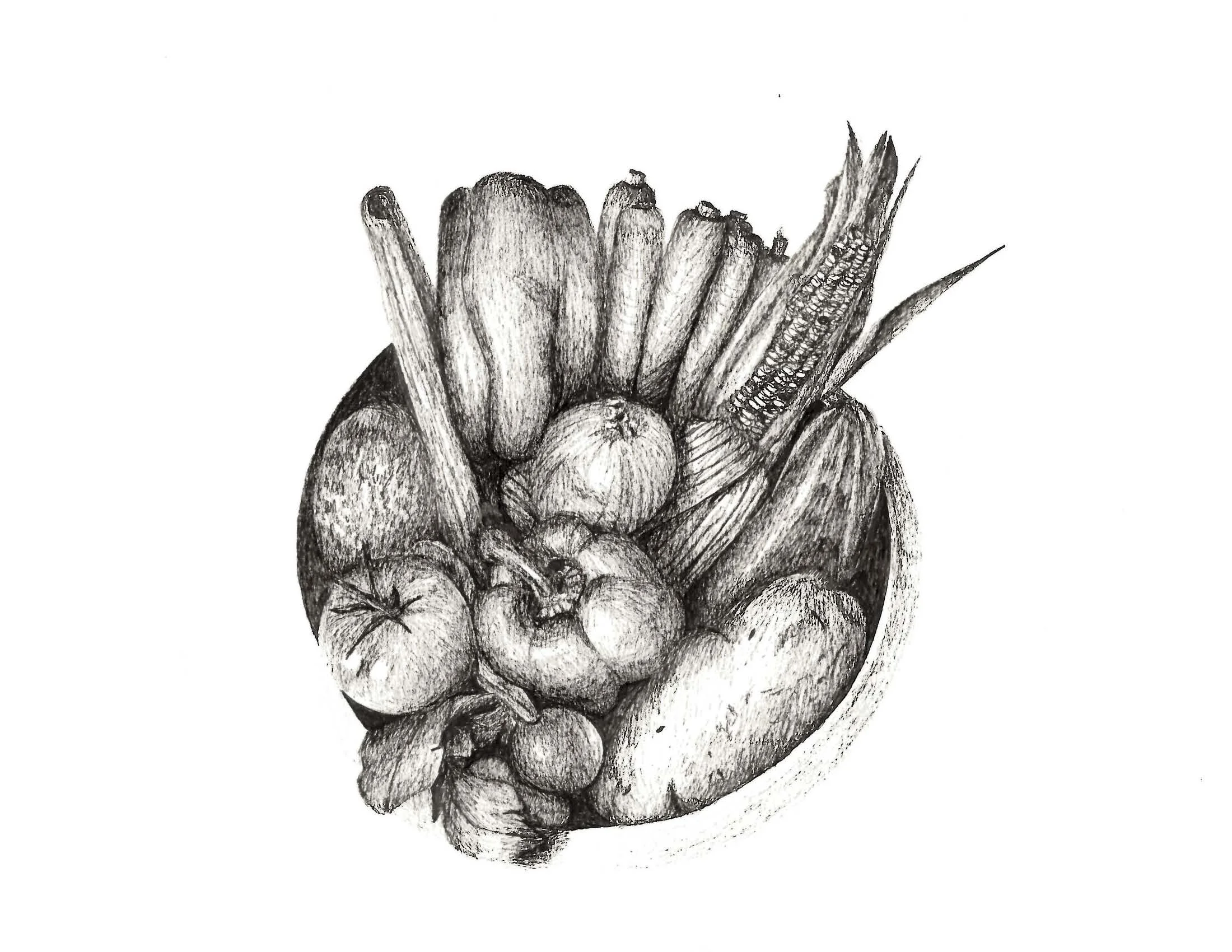 Fruits and Vegetables, 8.5" x 11" pen on paper 2010