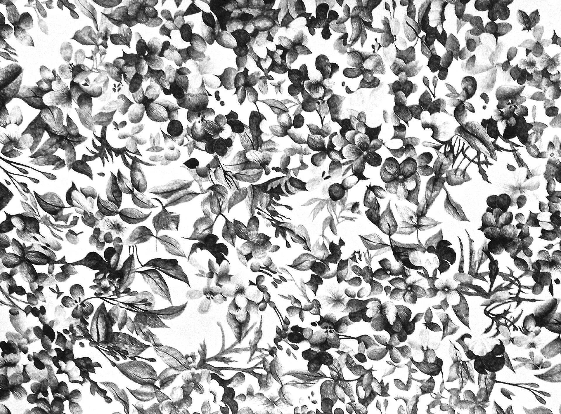 Summer. 24 x 18 inches, pen on paper 2014