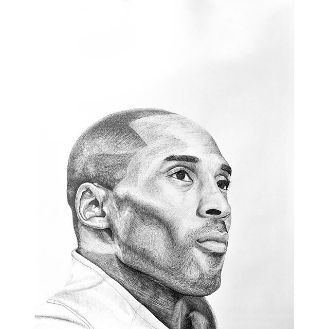 Kobe, 24 x 18 inches, pen on paper