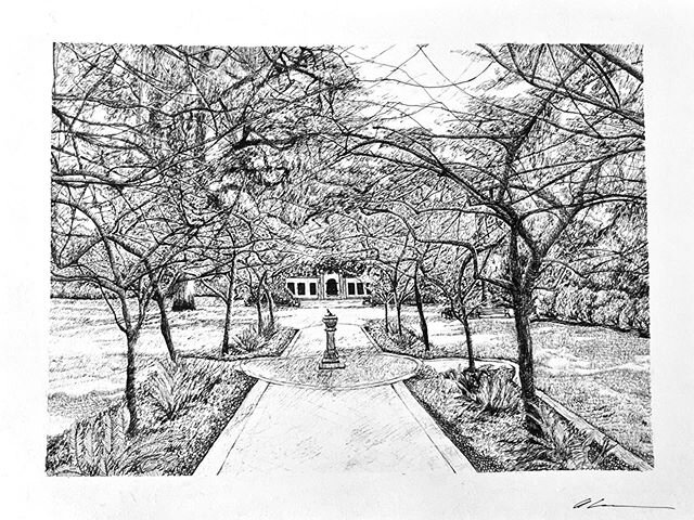 Shakespeare Garden, 12 x 9 inches, pen on paper 2020