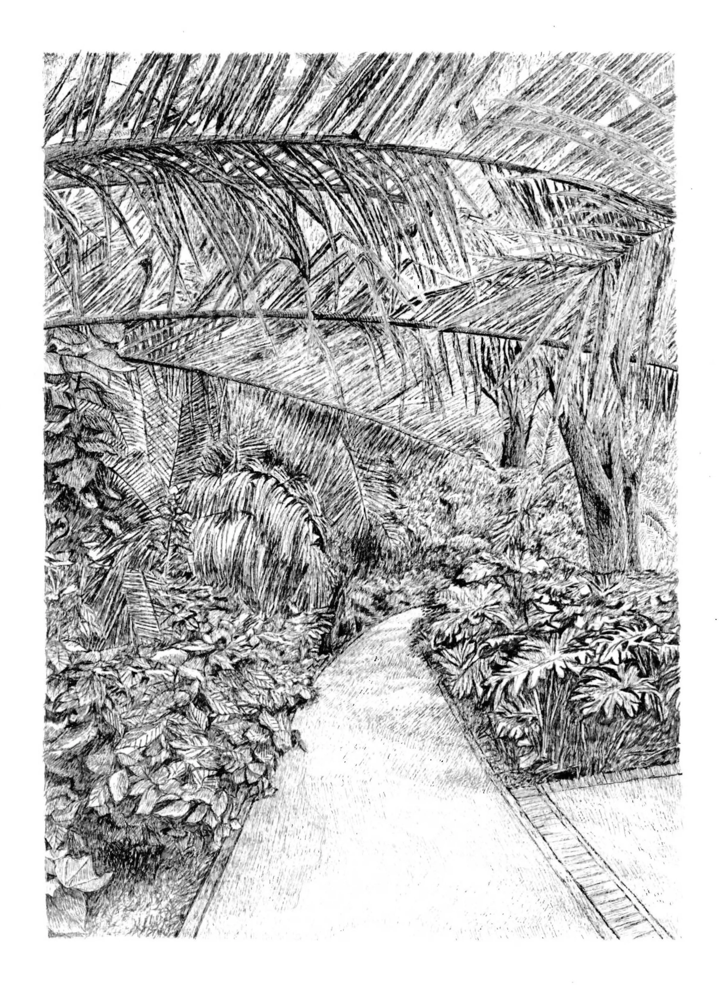 Avenida Amsterdam, 12x9in, pen on paper, 2024.JPG