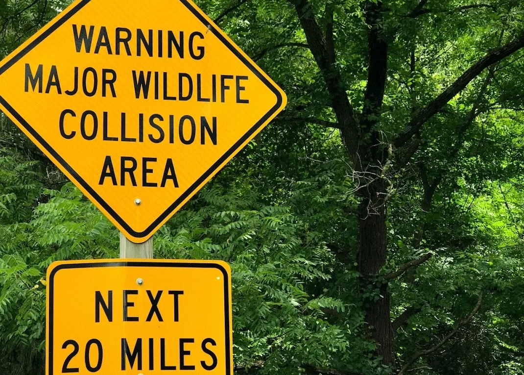warning sign animals.jpg