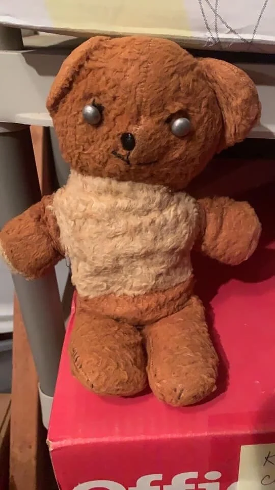 my teddy bear was looking at us