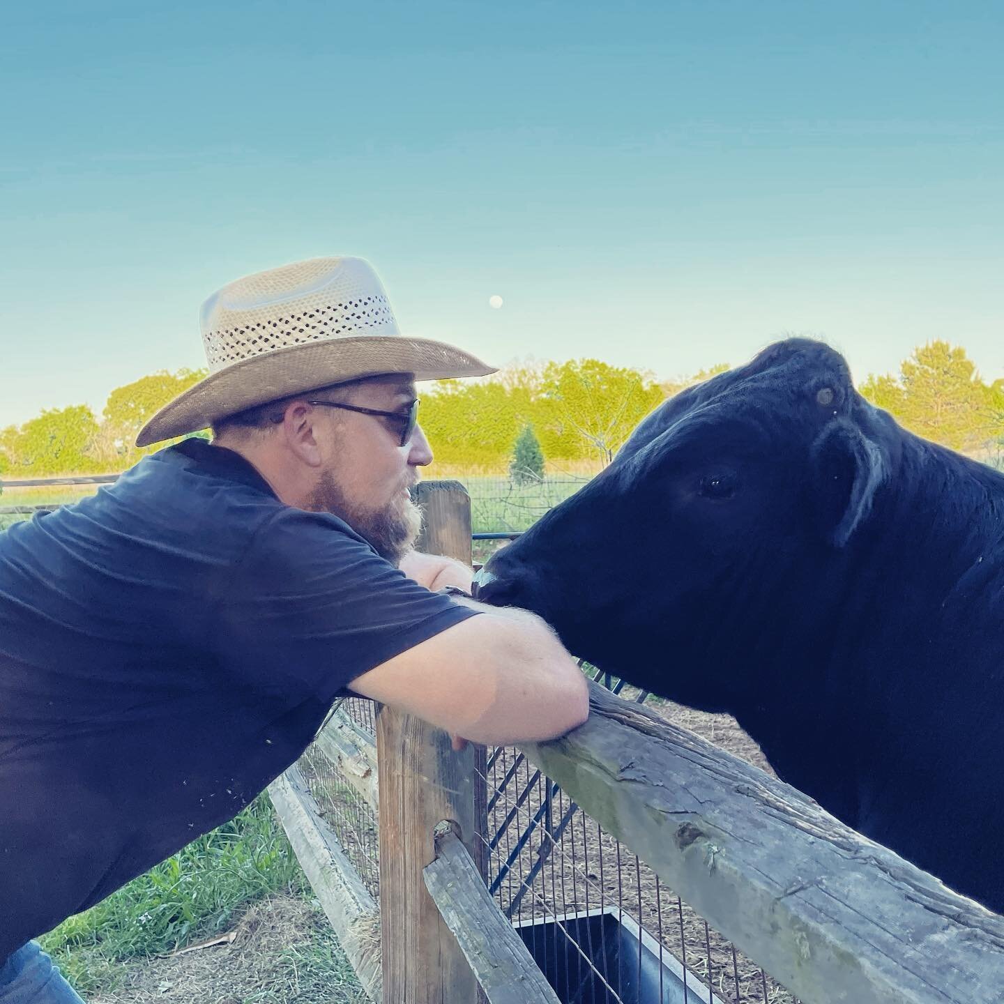 Confession... I love my cows. They may love me too ;) or they just love to eat and I provide that for them often 😂 🤠 #homehomeontherange