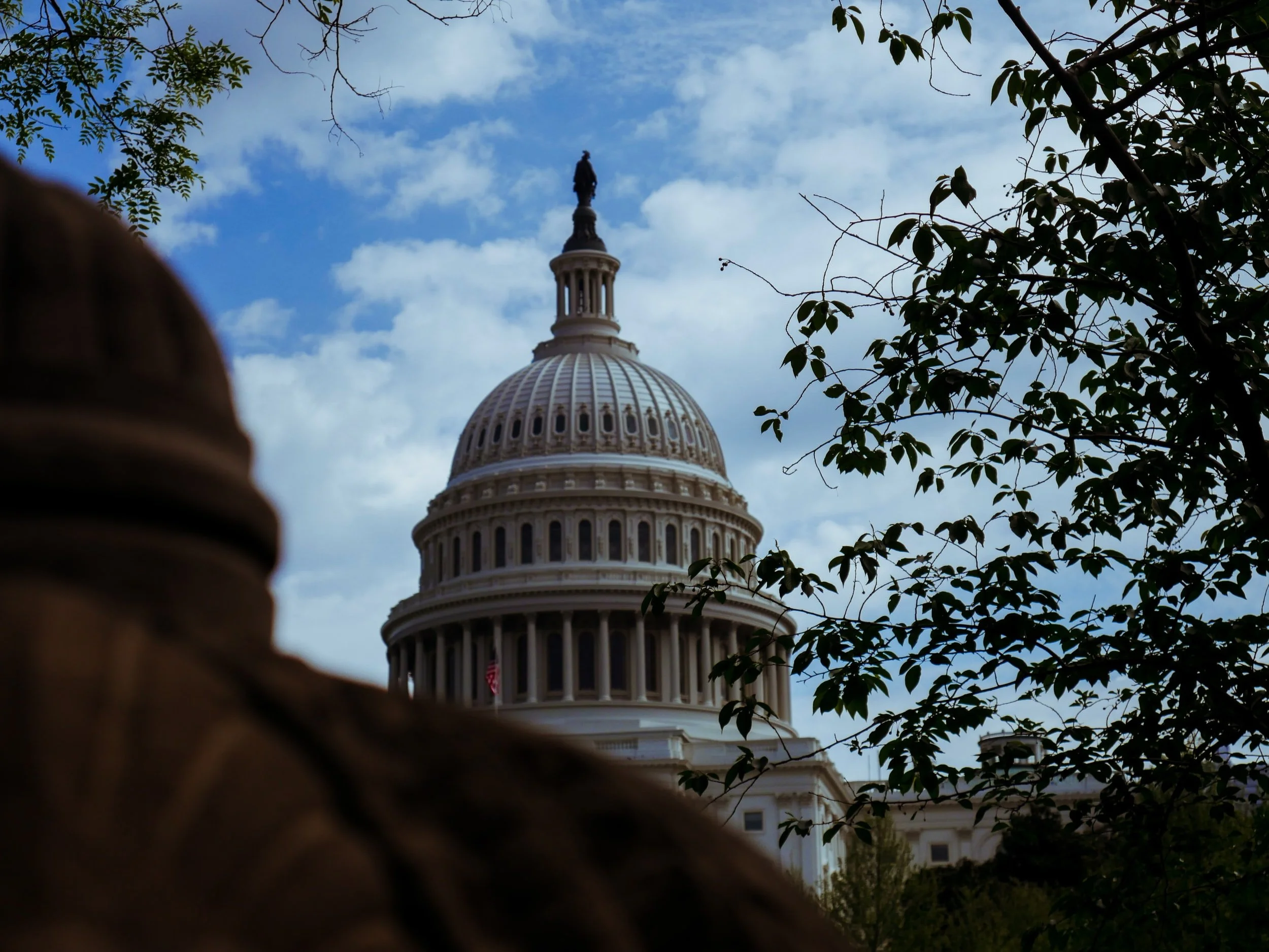 Applications are open for our 2023 January Fellowships!