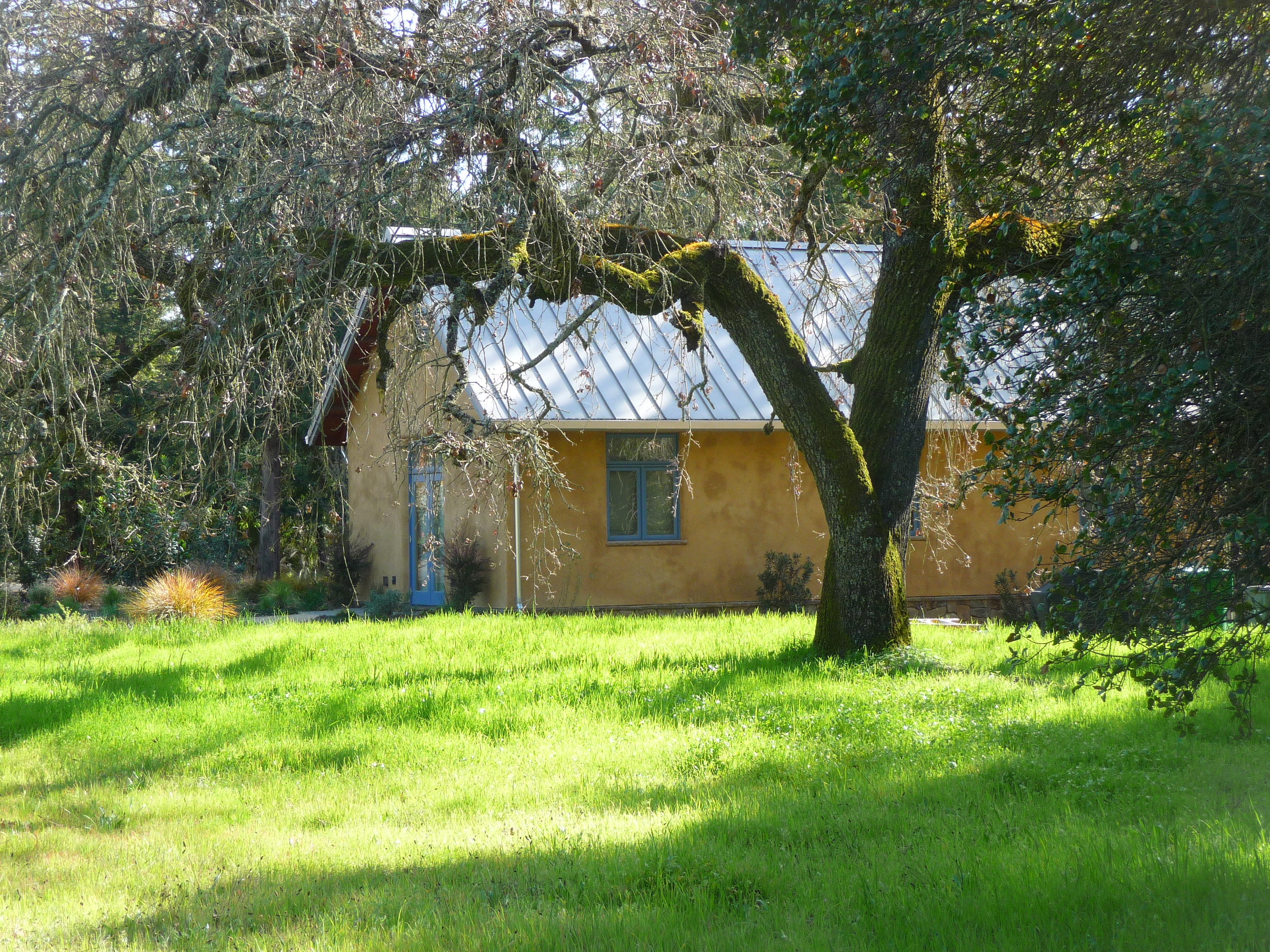  The guest cottage is nestled at the edge of a meadow by the creek. 